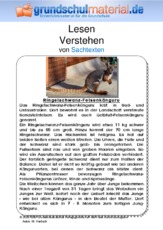 Ringelschwanz-Felsenkänguru - Sachtext.pdf